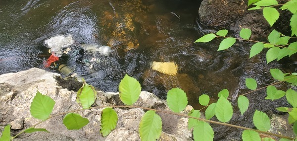 Stoney going under