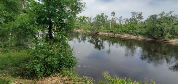 [Downstream to Hillman Bridge]