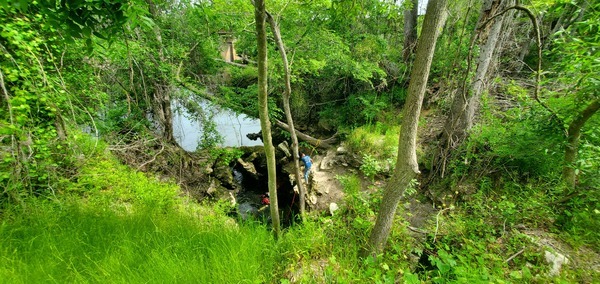 [Looking down to the spring]