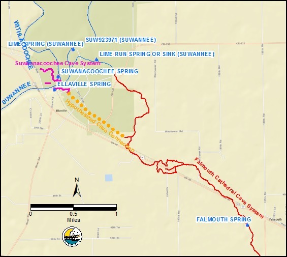 [Falmouth dye trace shows connection to Ellaville and Suwannacooche Springs, December 2014]