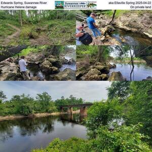 [Edwards Spring, Suwannee River, aka Ellaville Spring 2025-04-22, Hurricane Helene damage, On private land]