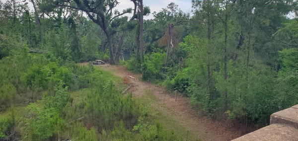 [Picnic table and benches next to Suwannee River, 2025:04:22 10:01:31, 30.3853505, -83.1746860]