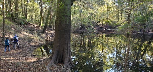 [Dead River Sink, 2021-11-07]