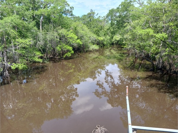 [Sheboggy Boat Ramp, Alapaha River @ US 82 2025-04-20]