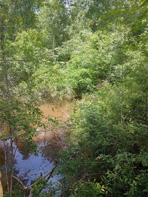 [Sinkhole, Heard Creek, Tifton, GA, IMG 20250421 130912053 HDR, 2025:04:21 13:09:16, 31.5275421, -83.5699005 2025-04-21]