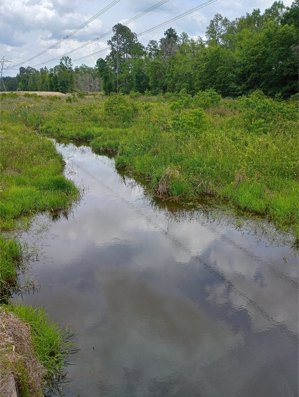 [Mill Creek @ Zion Hope Road, Tifton, GA, IMG 20250421 134049373 HDR, 2025:04:21 13:40:53, 31.497133, -83.55326, 2025-04-21]