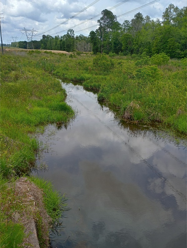 Mill Creek @ Zion Hope Road, Tifton, GA, Other IMG 20250421 134052359 HDR, 2025:04:21 13:40:56, 31.497133, -83.55326, 2025-04-21