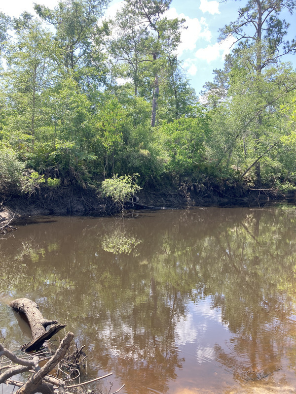 [Langdale Park Boat Ramp other, Withlacoochee River @ North Valdosta Road 2025-04-23]