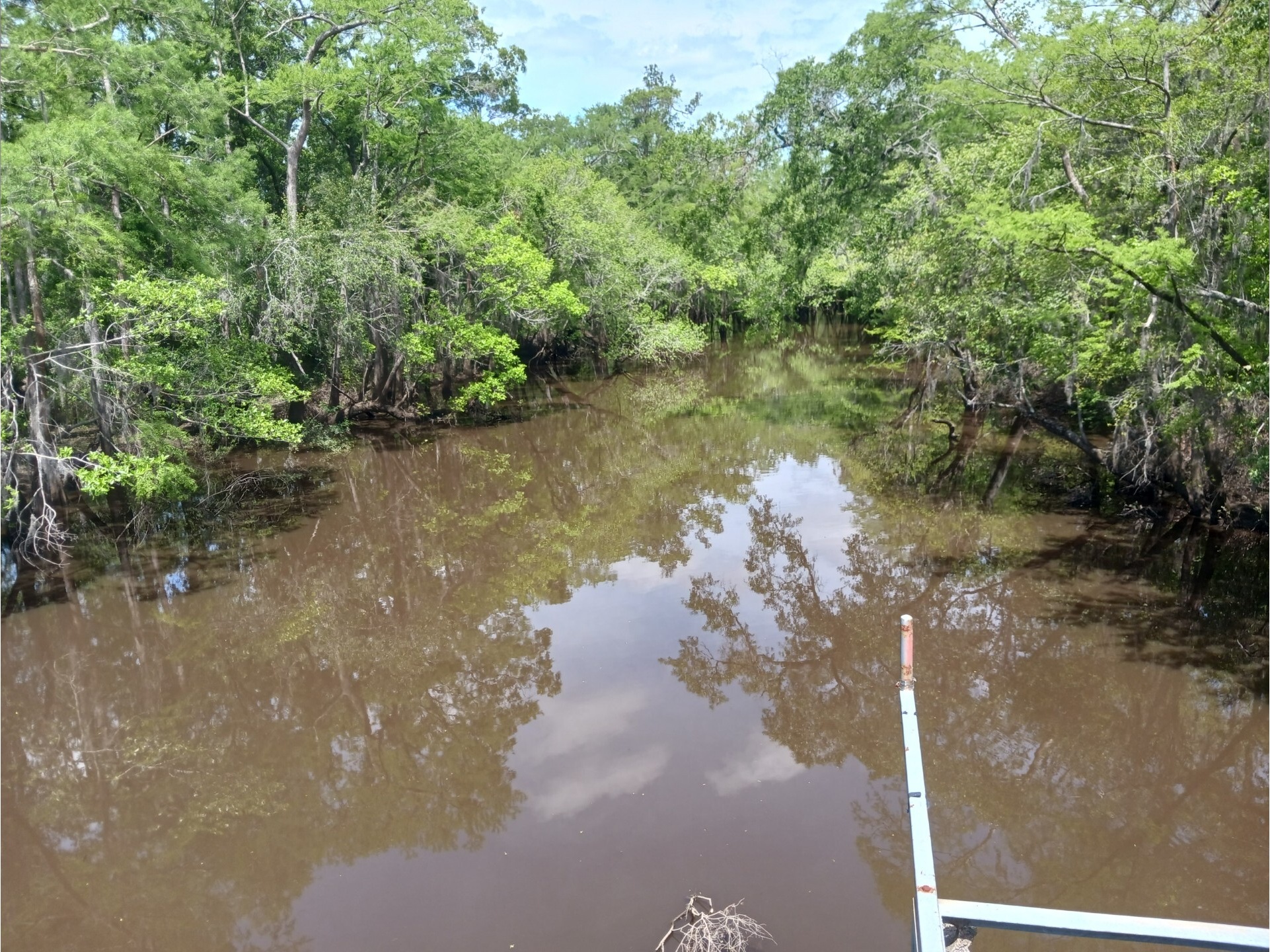 Sheboggy Boat Ramp, Alapaha River @ US 82 2025-04-20