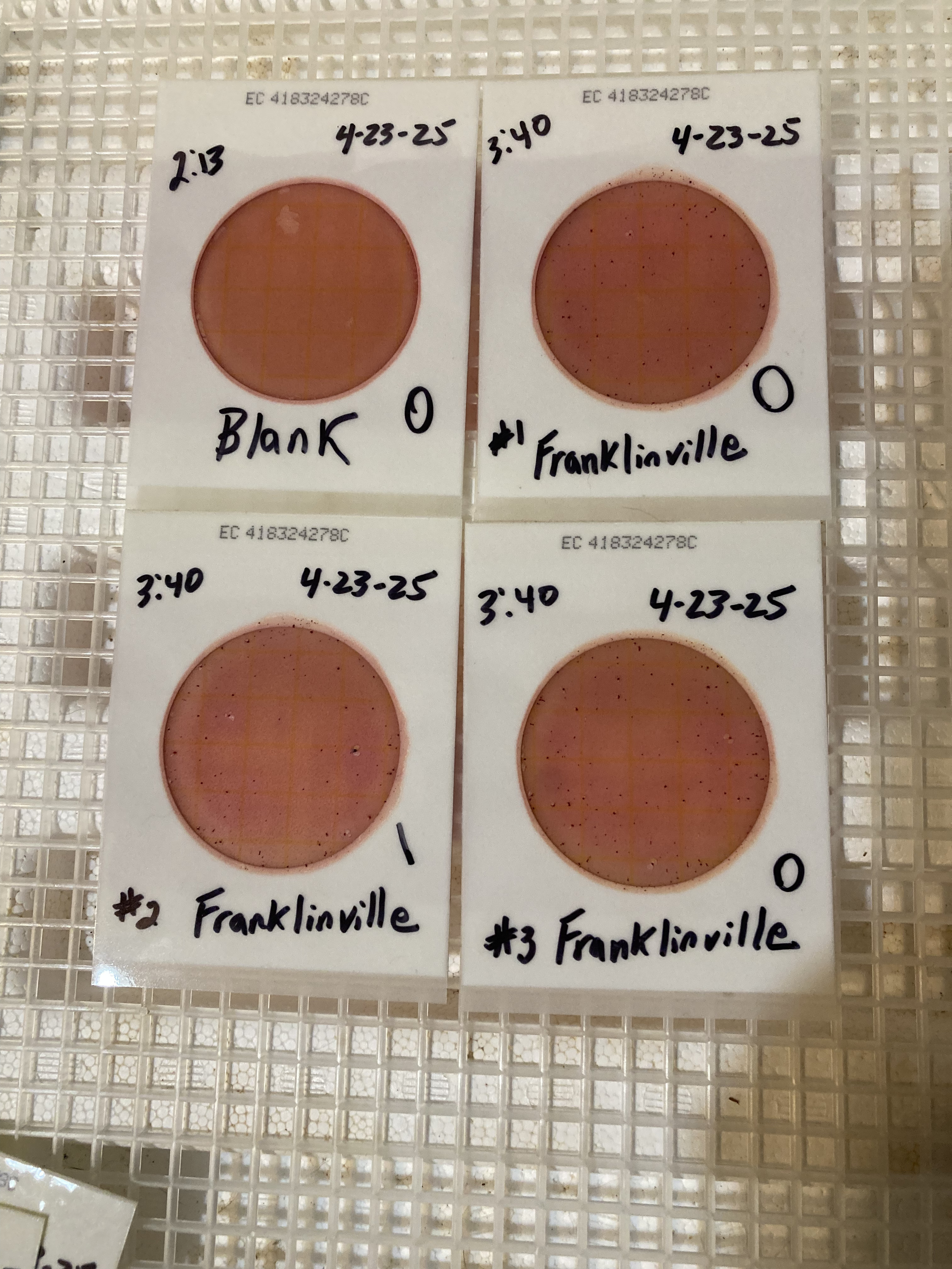 Plates, Franklinville 2025-04-23