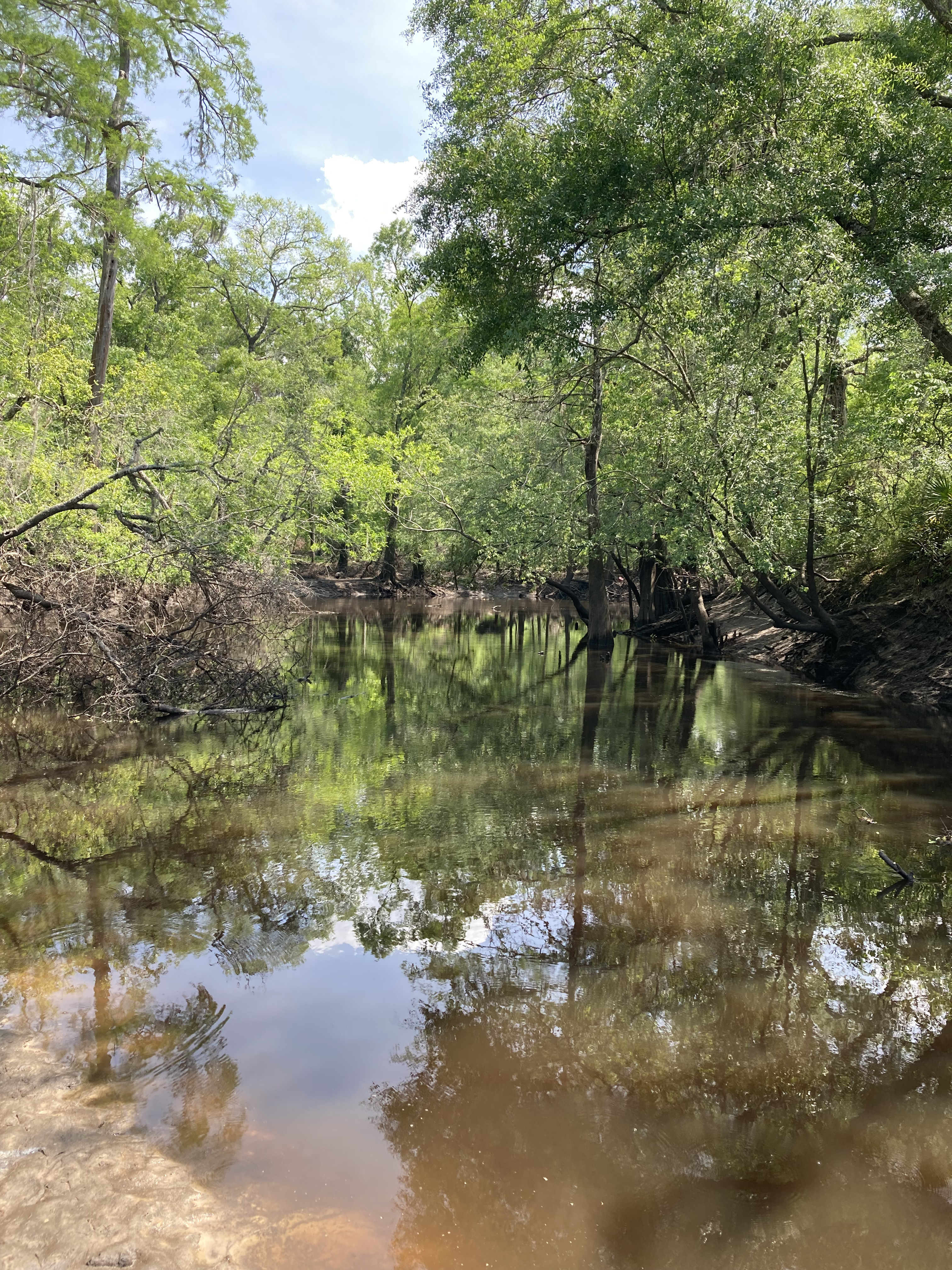 Langdale Park Boat Ramp, Withlacoochee River @ North Valdosta Road 2025-04-23