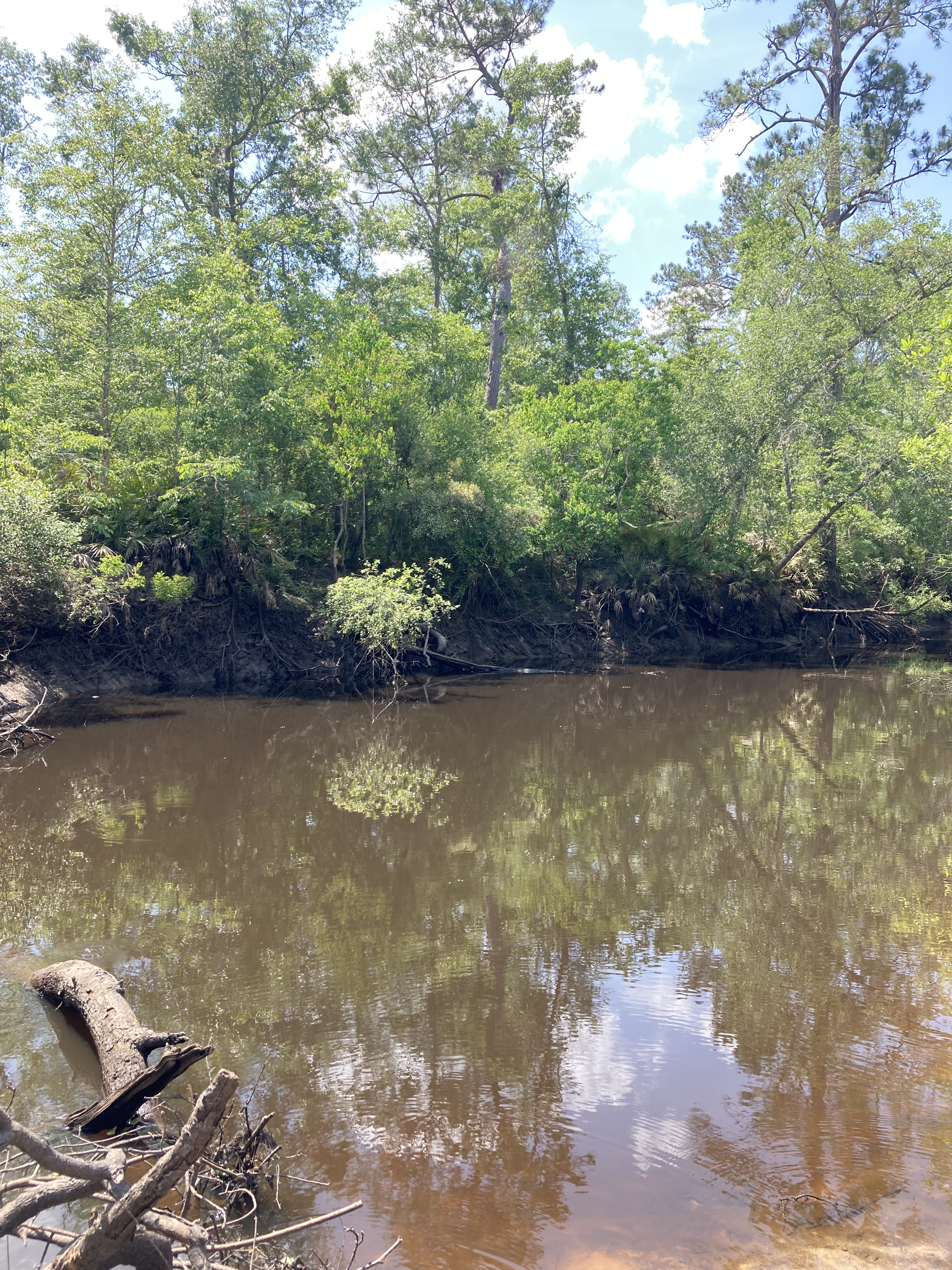 Langdale Park Boat Ramp other, Withlacoochee River @ North Valdosta Road 2025-04-23
