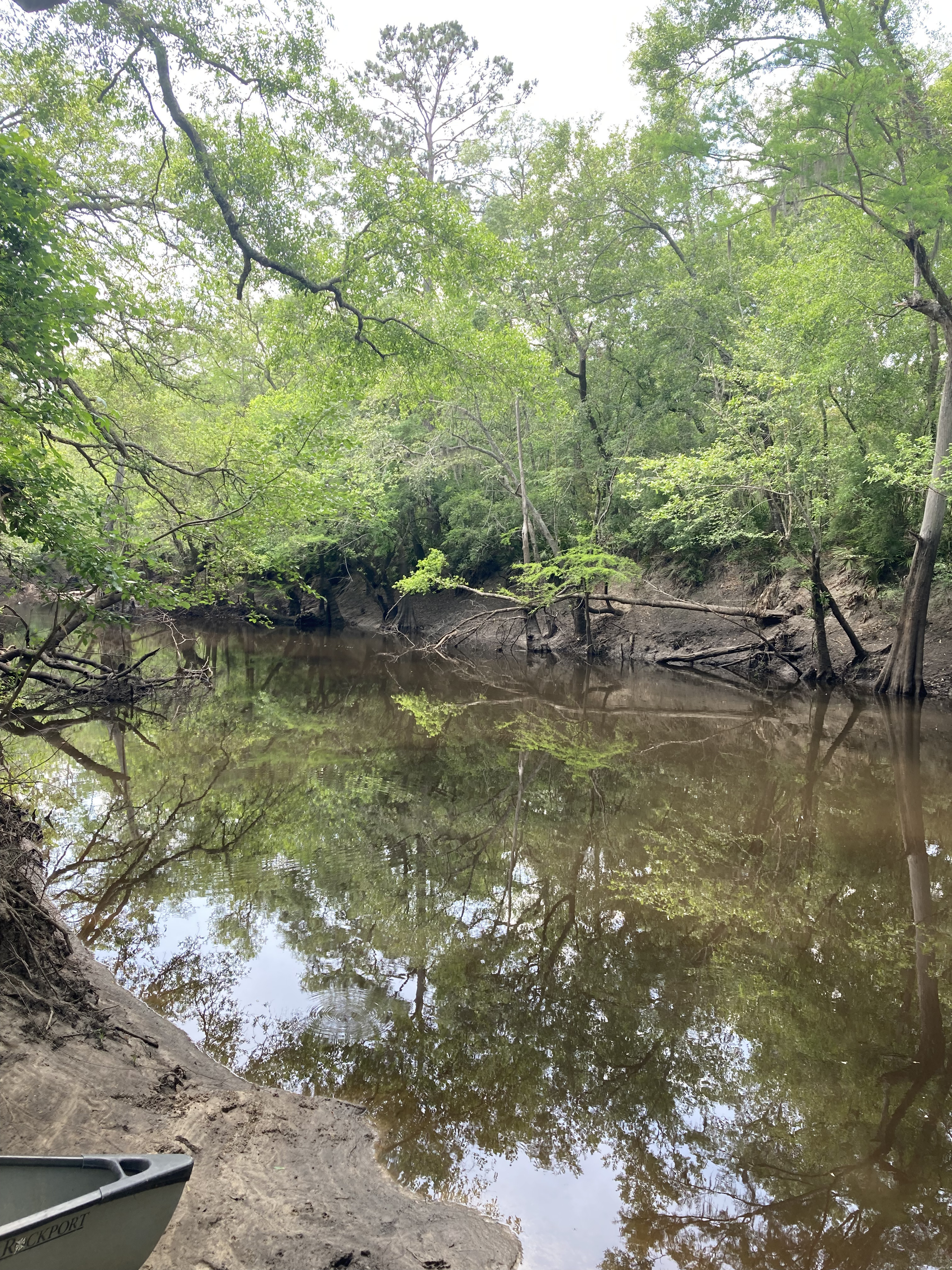 Staten Road, Withlacoochee River @ Staten Road 2025-04-23