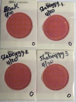 [Plates, Sheboggy Boat Ramp 2025-04-20]