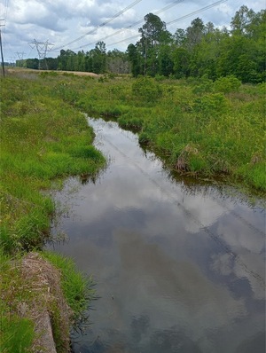 [Mill Creek @ Zion Hope Road, Tifton, GA, Other IMG 20250421 134052359 HDR, 2025:04:21 13:40:56, 31.497133, -83.55326, 2025-04-21]