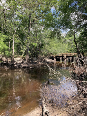 [Downstream, Franklinville, Withlacoochee River @ Frankinville Road 2025-04-23]