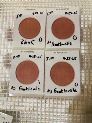 [Plates, Franklinville 2025-04-23]