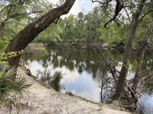 [Holly Point other, Withlacoochee River @ NE Withla Bluffs Way 2025-04-23, 2025:04:23 16:49:50, 30.4137472, -83.2069250]