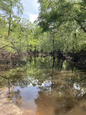 [Langdale Park Boat Ramp, Withlacoochee River @ North Valdosta Road 2025-04-23]