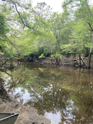 [Staten Road, Withlacoochee River @ Staten Road 2025-04-23]
