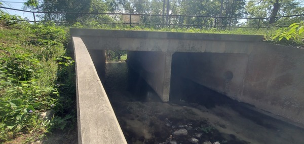[Children playing in One Mile Branch, 10:18:49, 30.8428717, -83.3015484]