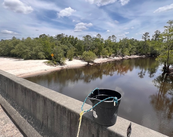 Across, Lakeland Boat Ramp, Alapaha River @ GA 122 2025-05-01