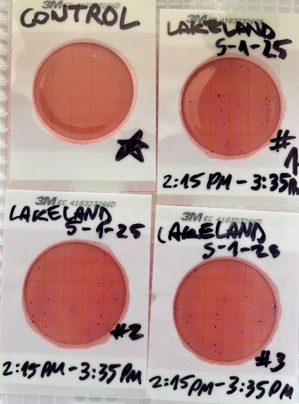 Plates, Lakeland Boat Ramp 2025-05-01