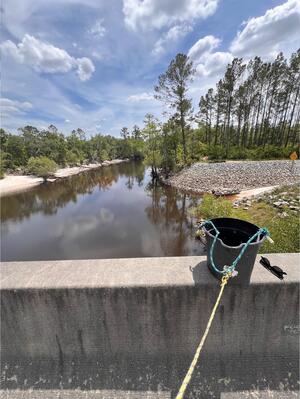 [Downstream, Lakeland Boat Ramp, Alapaha River @ GA 122 2025-05-01]