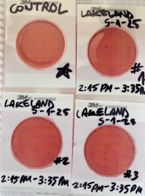 [Plates, Lakeland Boat Ramp 2025-05-01]