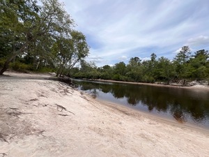 [Downstream, Naylor Park Beach, Alapaha River @ US 84 2025-05-01]