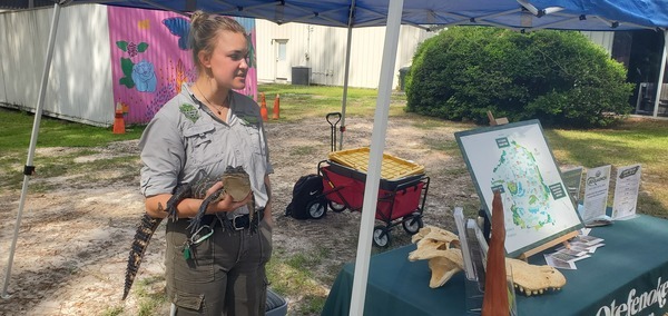 [Alligator, Jolie Hoyle, Environmental Education Coordinator, Okefenokee Swamp Park]