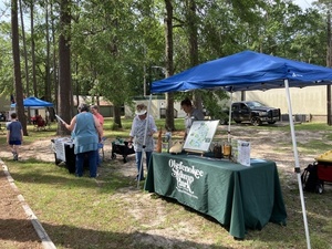 [Okefenokee Swamp Park --Gretchen Quarterman]