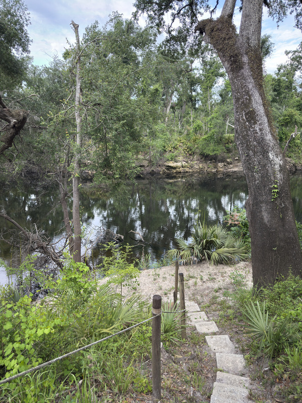 [Holly Point, Withlacoochee River @ NE Withla Bluffs Way 2025-05-08]