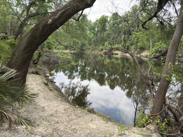 Holly Point other, Withlacoochee River @ NE Withla Bluffs Way 2025-05-08