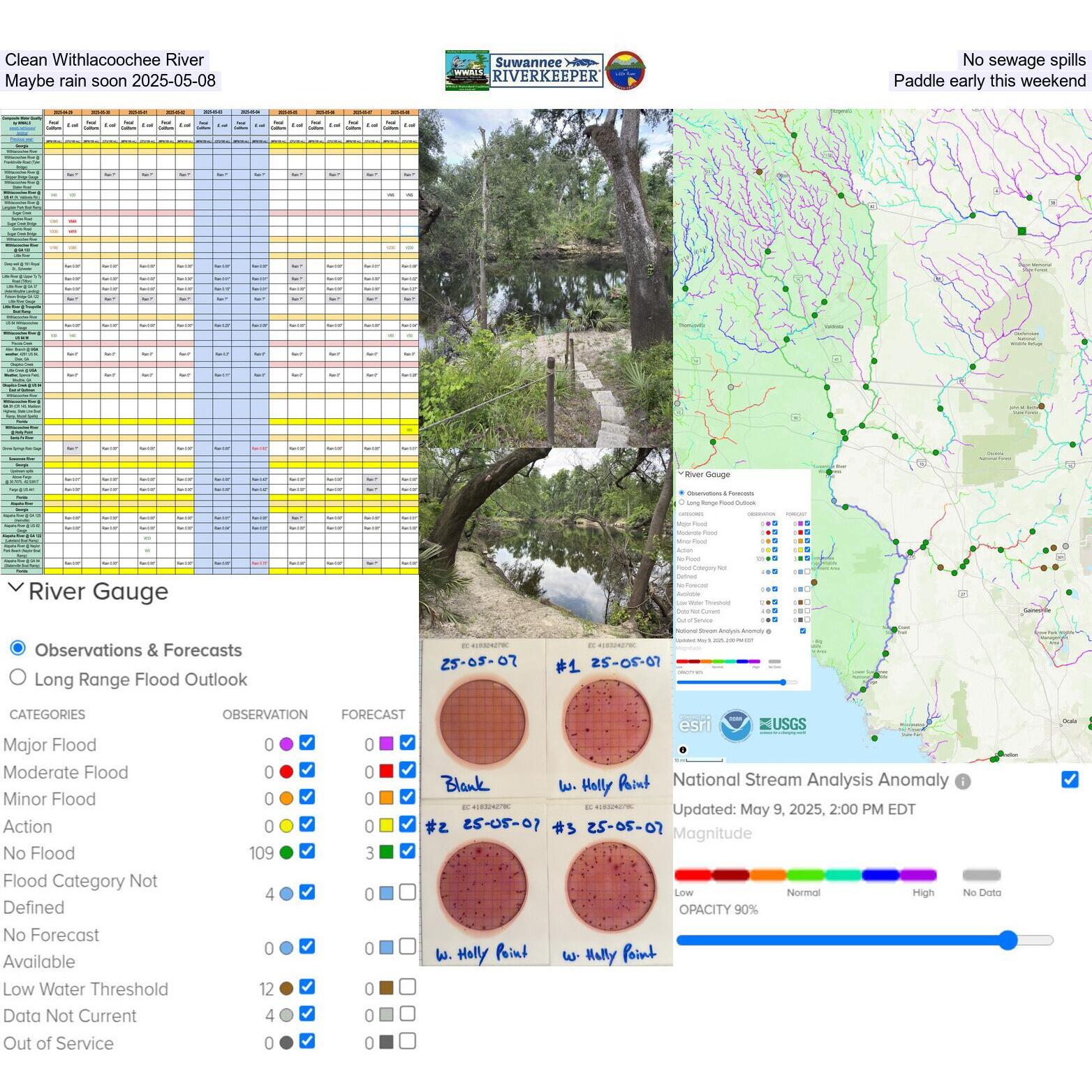 Clean Withlacoochee River, No sewage spills, Maybe rain soon 2025-05-08, Paddle early this weekend