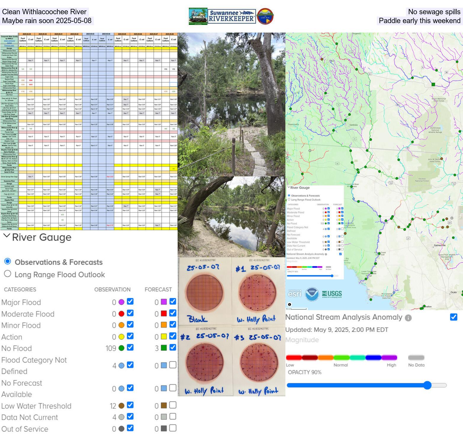 [Clean Withlacoochee River, No sewage spills, Maybe rain soon 2025-05-08, Paddle early this weekend]