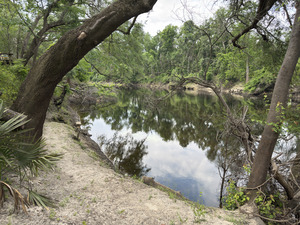 [Holly Point other, Withlacoochee River @ NE Withla Bluffs Way 2025-05-08]
