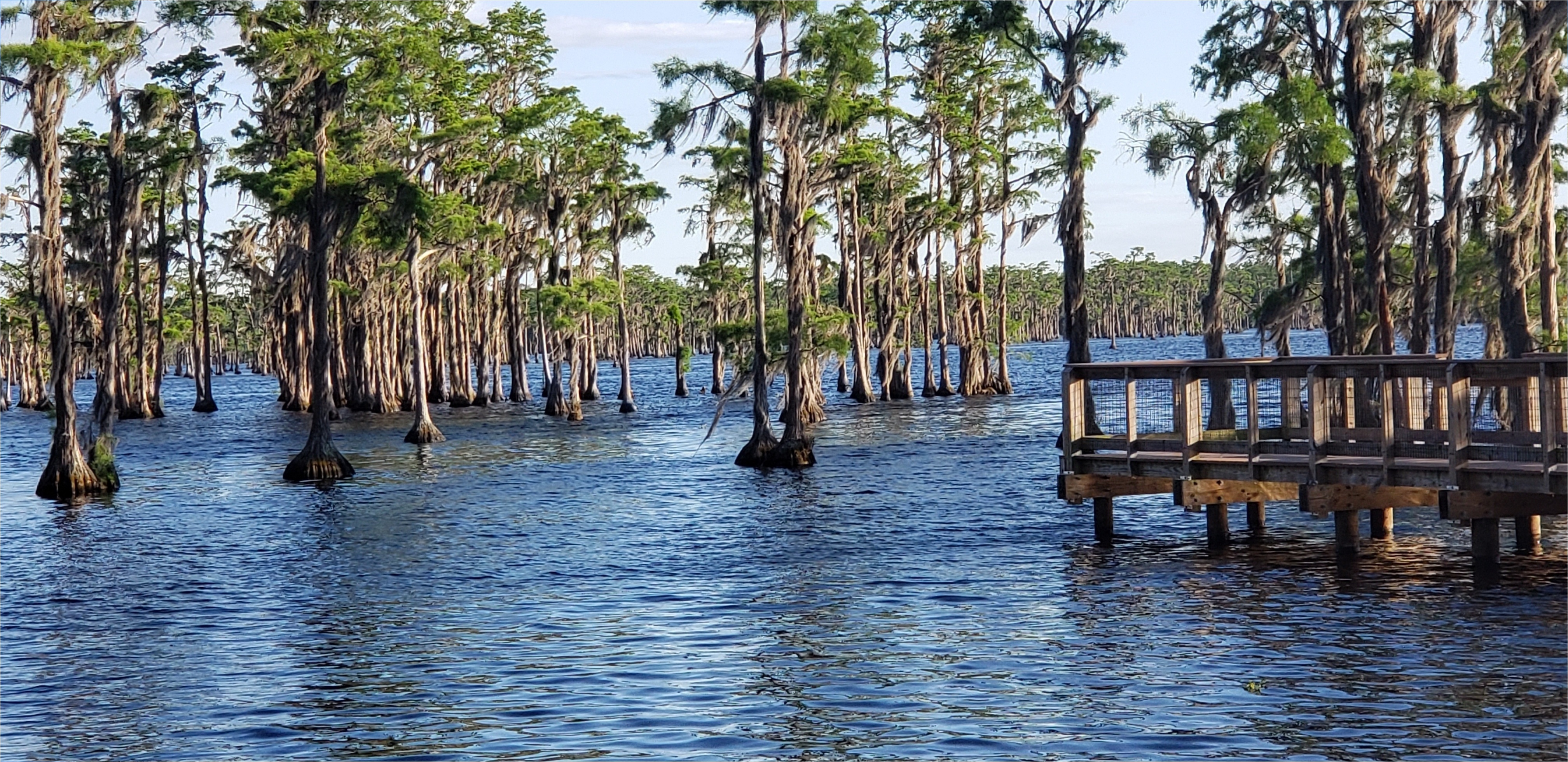 Fishing dock --Janet Martin