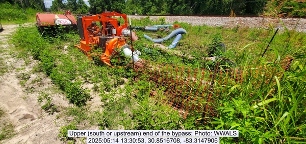 [Upper (south or upstream) end of the bypass, 2025:05:14 13:30:53, 30.8516708, -83.3147906]