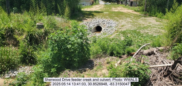 [Sherwood Drive feeder creek and culvert, 2025:05:14 13:41:03, 30.8526948, -83.3150047]