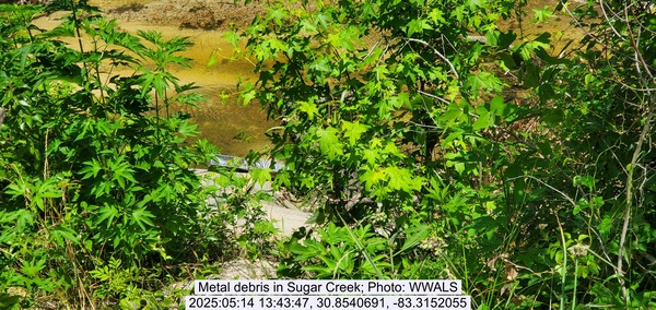 [Metal debris in Sugar Creek, 2025:05:14 13:43:47, 30.8540691, -83.3152055]