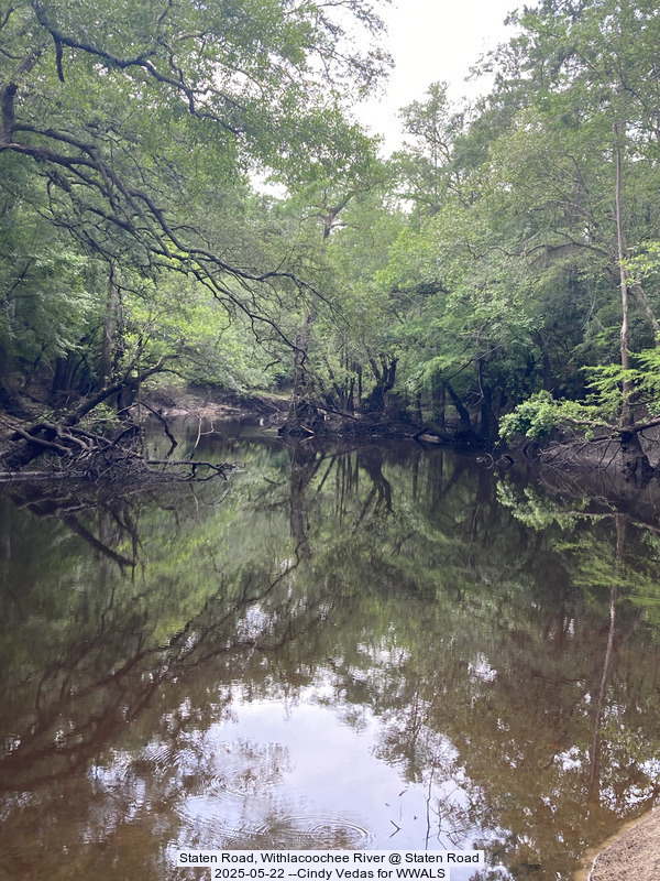 [Staten Road, Withlacoochee River @ Staten Road, 2025-05-22 --Cindy Vedas for WWALS]