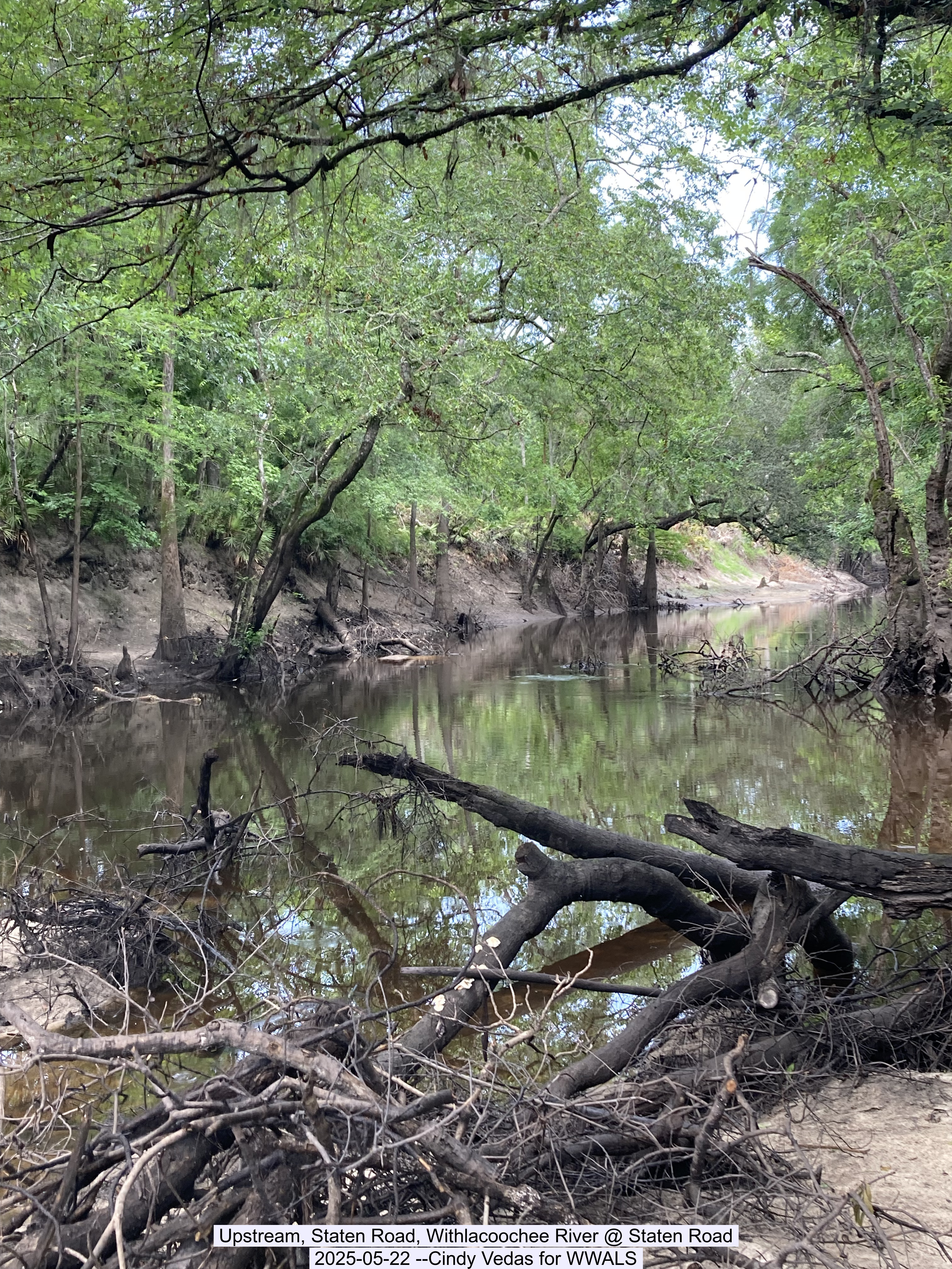 Upstream, Staten Road, Withlacoochee River @ Staten Road, 2025-05-22 --Cindy Vedas for WWALS