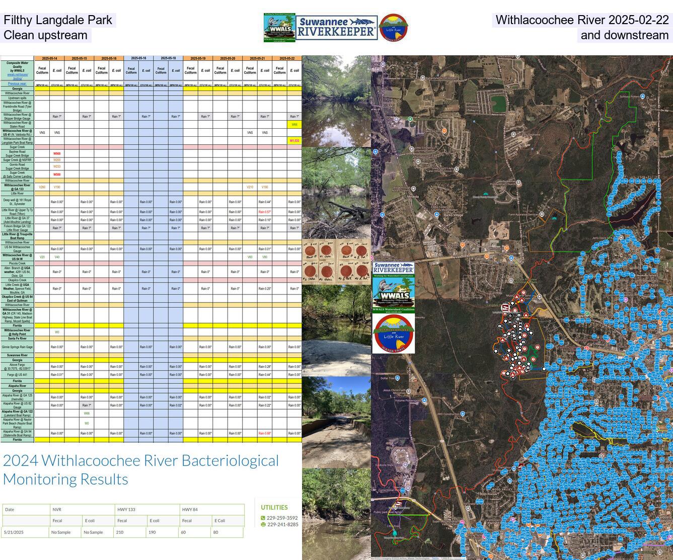Filthy Langdale Park, Withlacoochee River 2025-02-22, Clean upstream and downstream