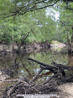 [Upstream, Staten Road, Withlacoochee River @ Staten Road, 2025-05-22 --Cindy Vedas for WWALS]