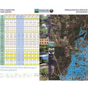 [Filthy Langdale Park, Withlacoochee River 2025-02-22, Clean upstream and downstream]