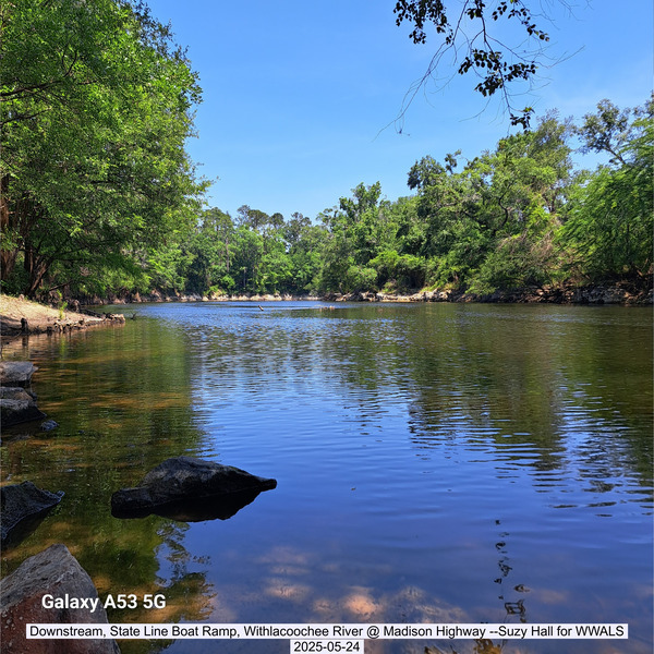 [Downstream, State Line Boat Ramp, Withlacoochee River @ Madison Highway --Suzy Hall for WWALS, 2025-05-24]