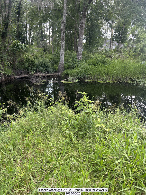 [Franks Creek @ GA 122 --Debbie Smith for WWALS, 2025-05-26]