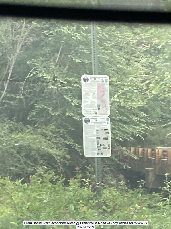 [Franklinville, Withlacoochee River @ Frankinville Road --Cindy Vedas for WWALS, 2025-05-29]