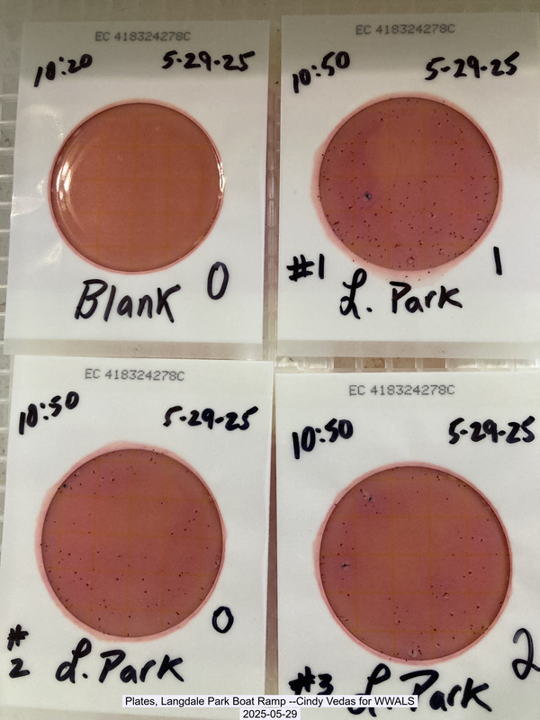 [Plates, Langdale Park Boat Ramp --Cindy Vedas for WWALS, 2025-05-29]